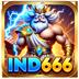 Ind666